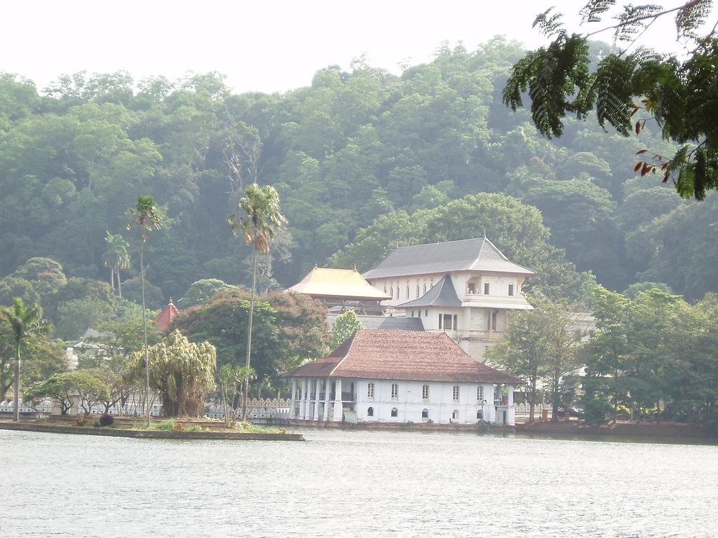 Strathisla Tea Estate Bungalow Matale Kültér fotó