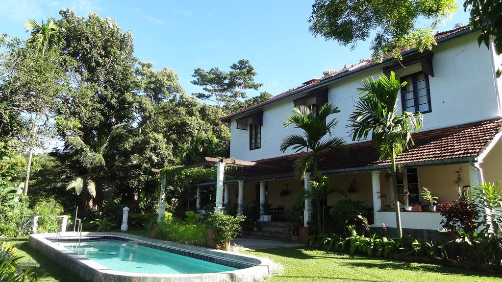 Strathisla Tea Estate Bungalow Matale Kültér fotó