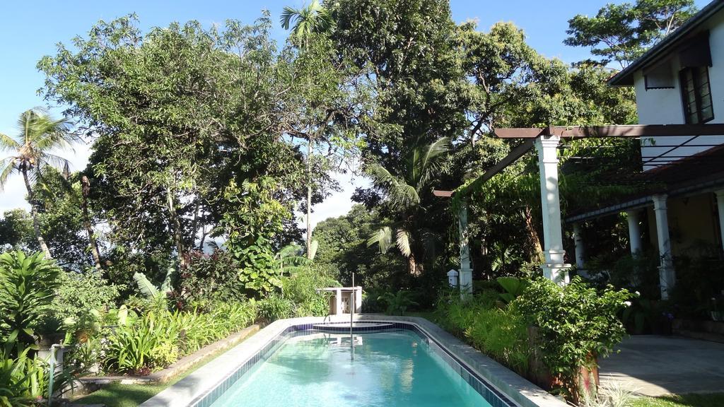 Strathisla Tea Estate Bungalow Matale Kültér fotó
