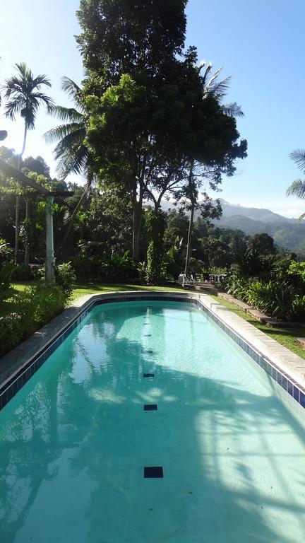 Strathisla Tea Estate Bungalow Matale Kültér fotó