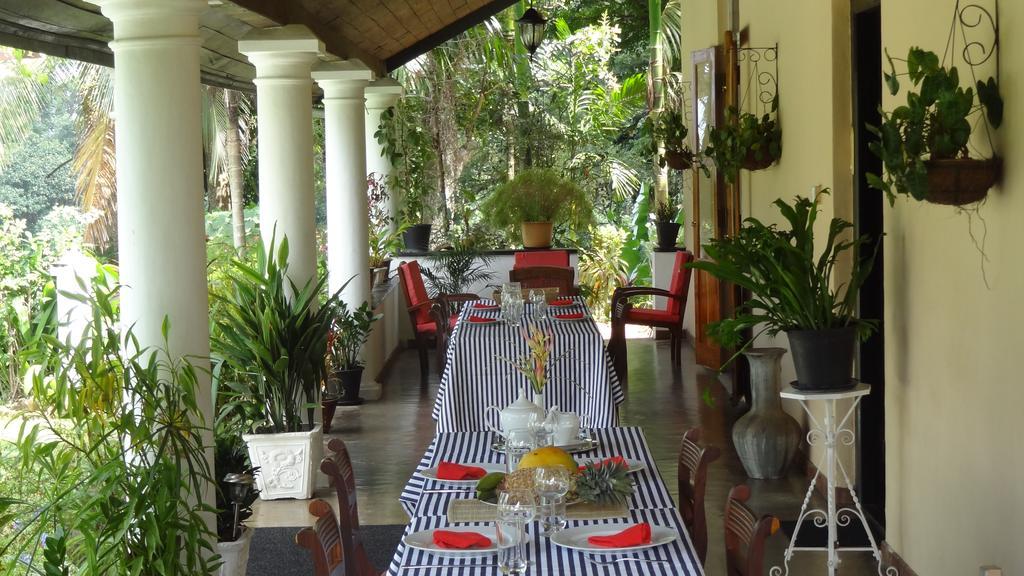 Strathisla Tea Estate Bungalow Matale Kültér fotó