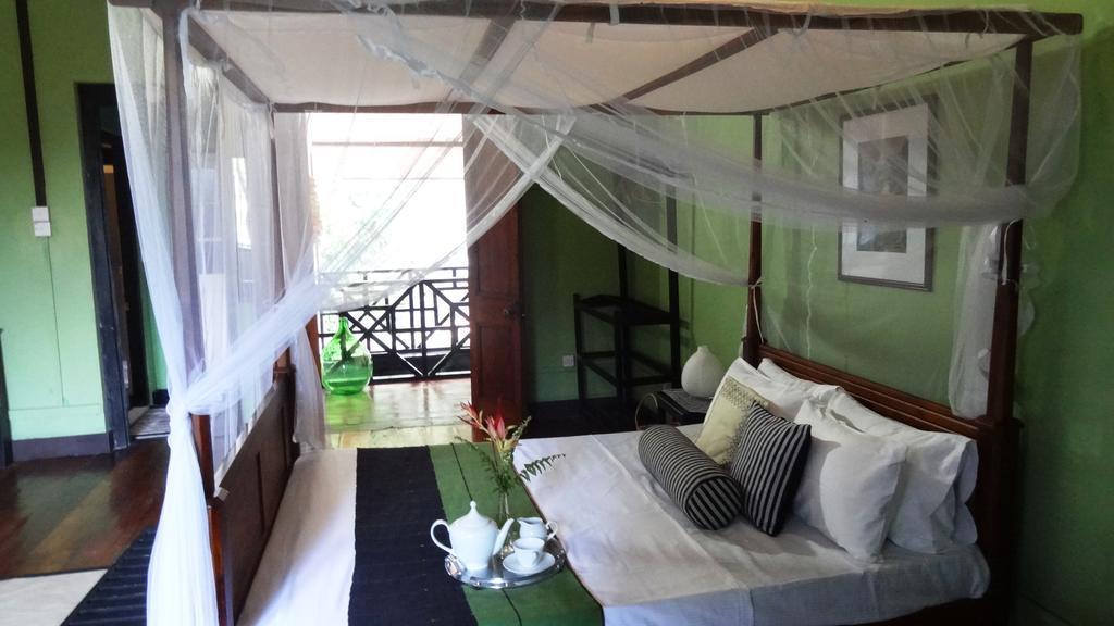 Strathisla Tea Estate Bungalow Matale Kültér fotó