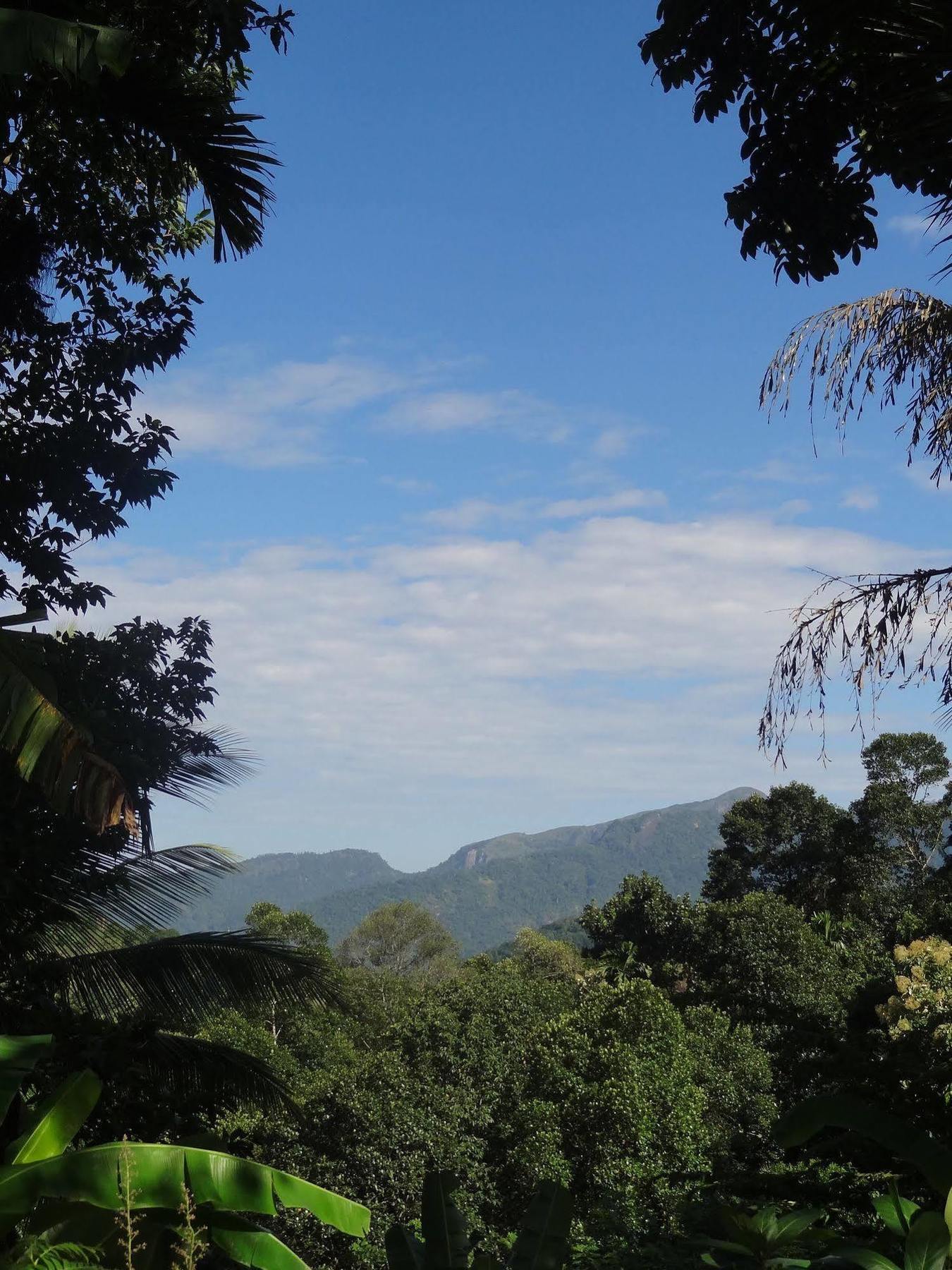 Strathisla Tea Estate Bungalow Matale Kültér fotó