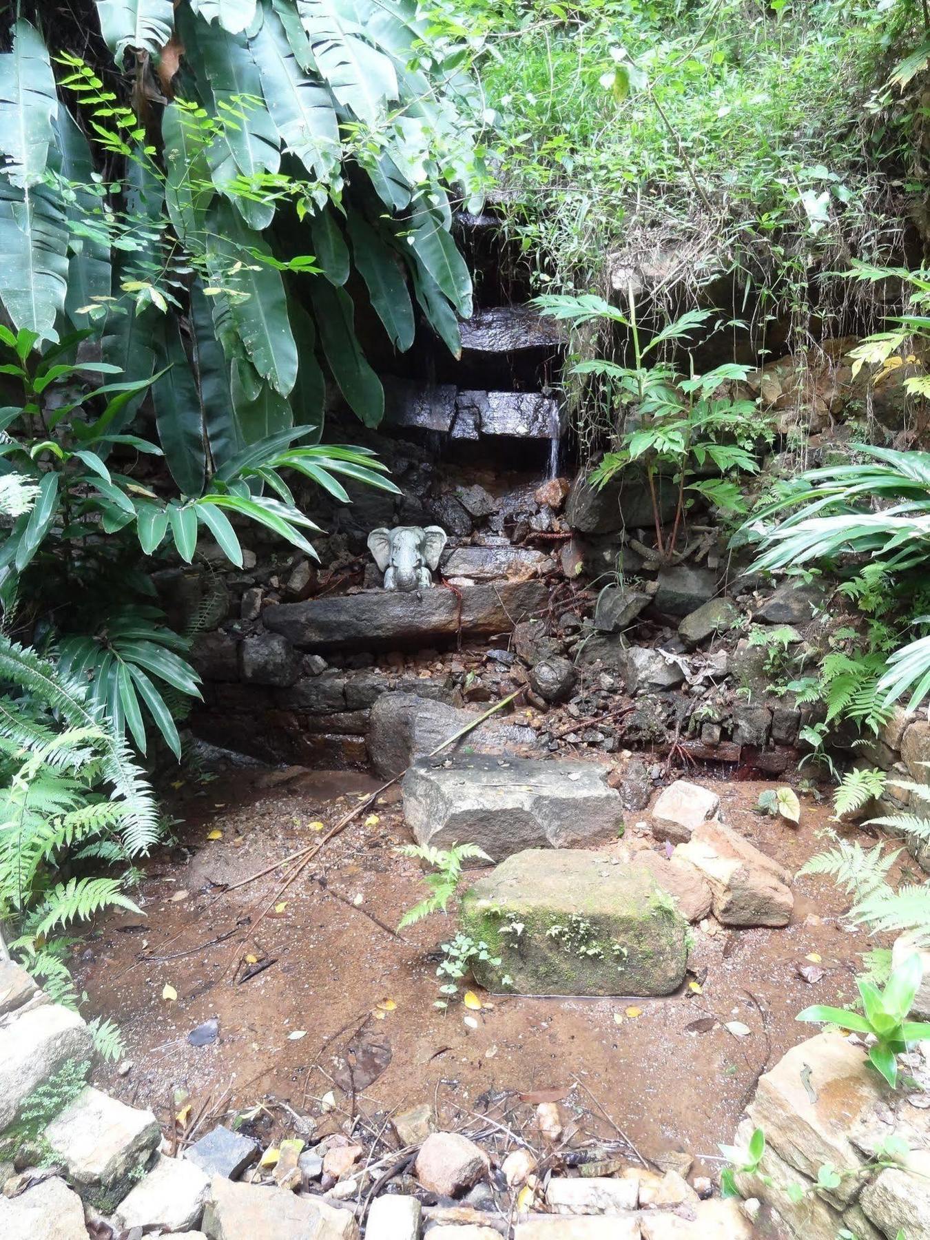 Strathisla Tea Estate Bungalow Matale Kültér fotó