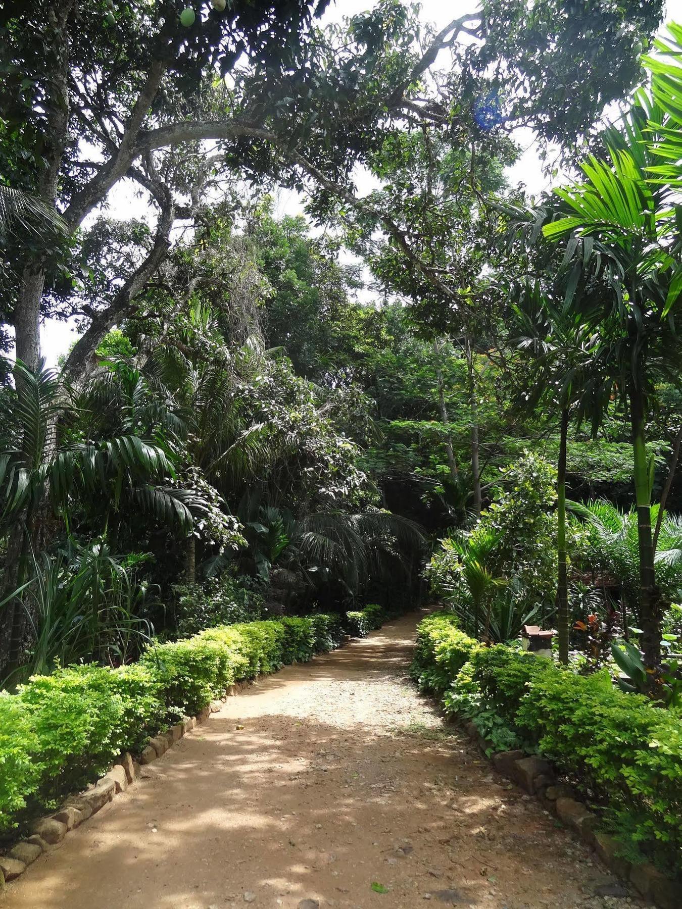 Strathisla Tea Estate Bungalow Matale Kültér fotó