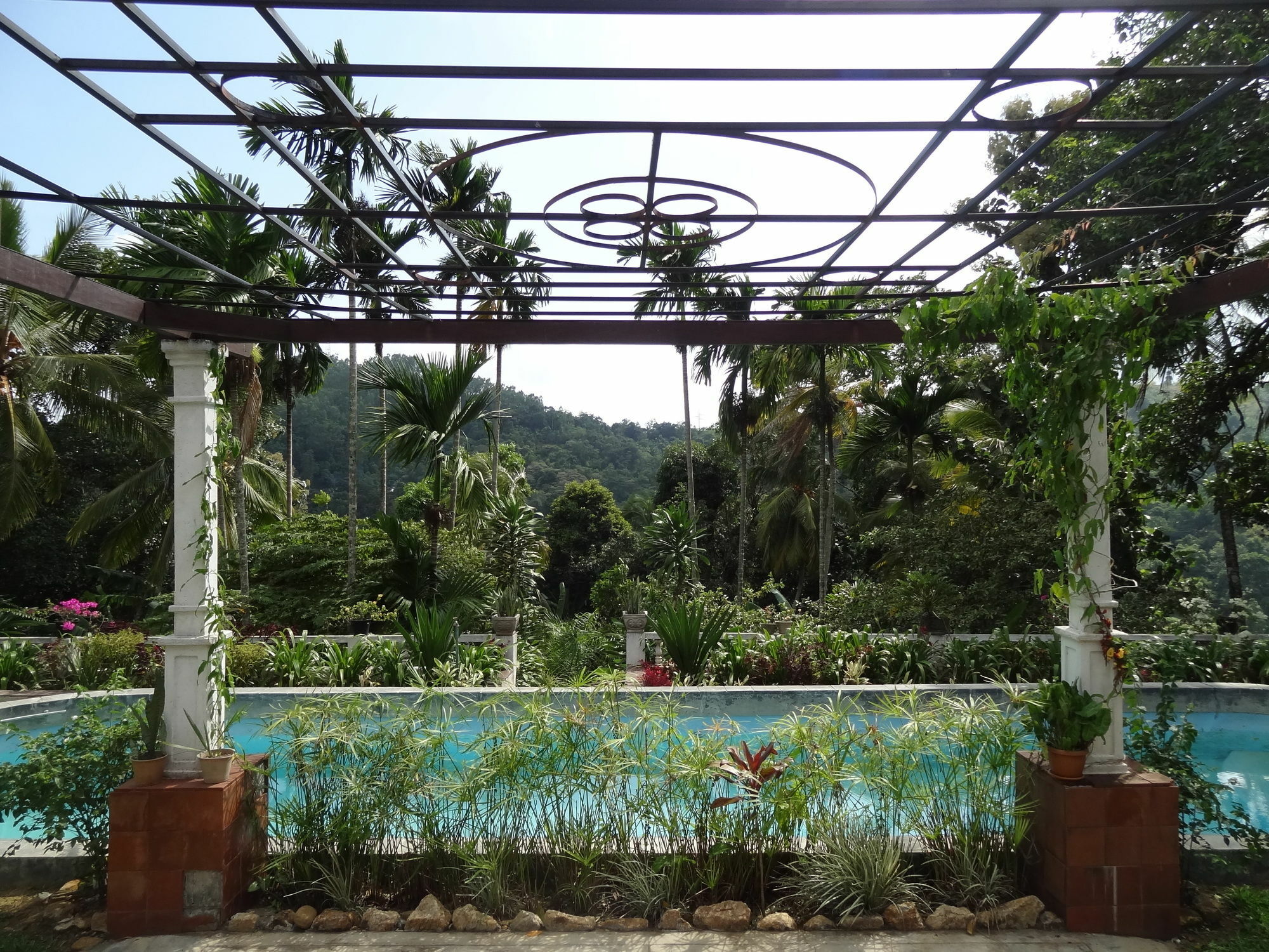 Strathisla Tea Estate Bungalow Matale Kültér fotó