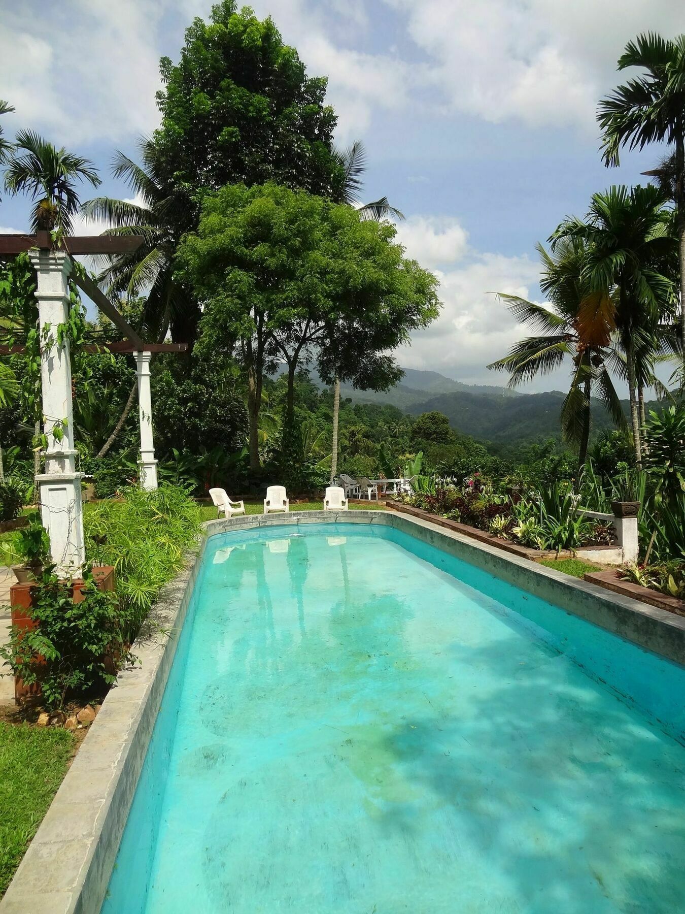 Strathisla Tea Estate Bungalow Matale Kültér fotó