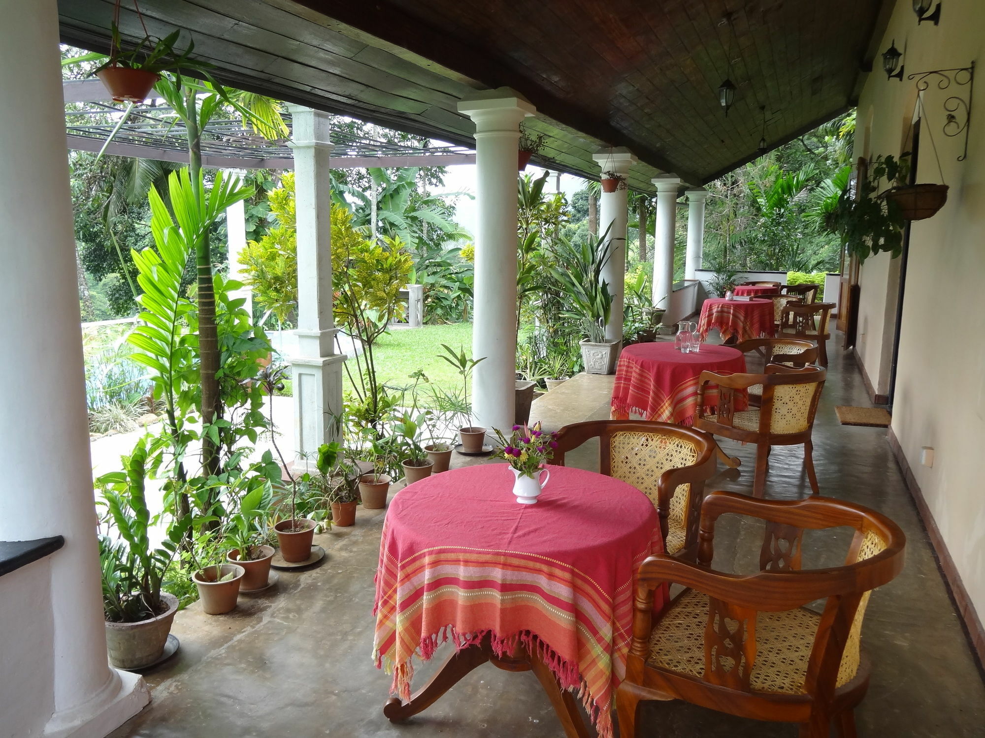 Strathisla Tea Estate Bungalow Matale Kültér fotó