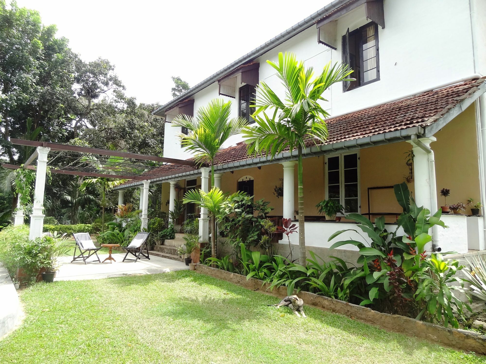 Strathisla Tea Estate Bungalow Matale Kültér fotó